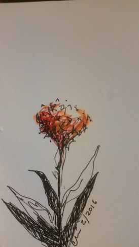 Milkweed 2016-02-24 06.06.58