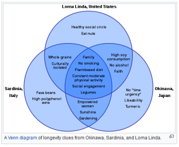 Blue Zone zen diagram